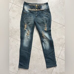 Evolution Life Distressed Skinny Jeans in Blue